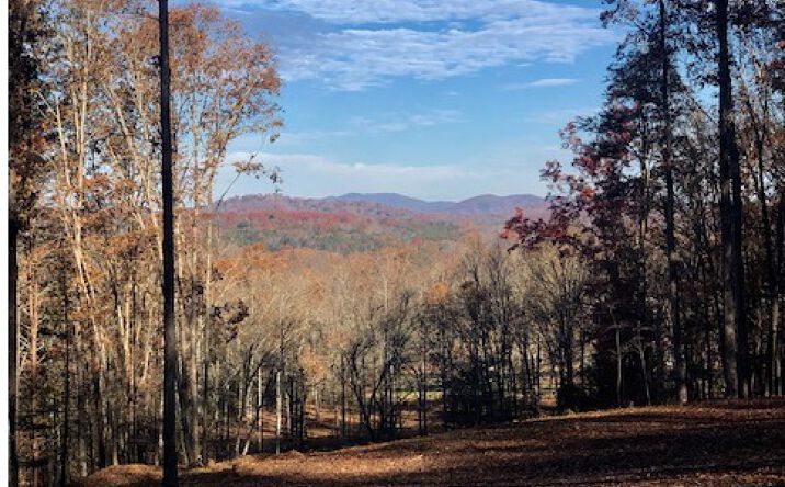 LOT 2 Highland Forest Trail, Morganton