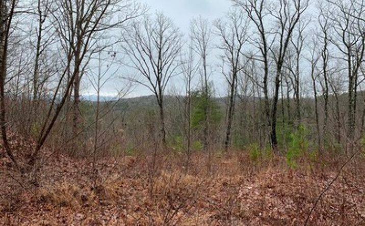 421 Plantation Lane, Blue Ridge