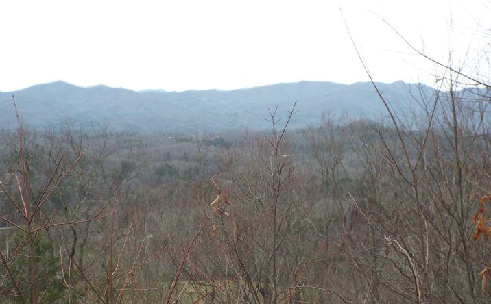 Lt 5a Hawkeye Trl, Marble