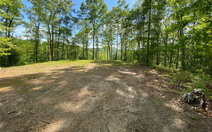 2 Park At Raven Ridge, Mineral Bluff