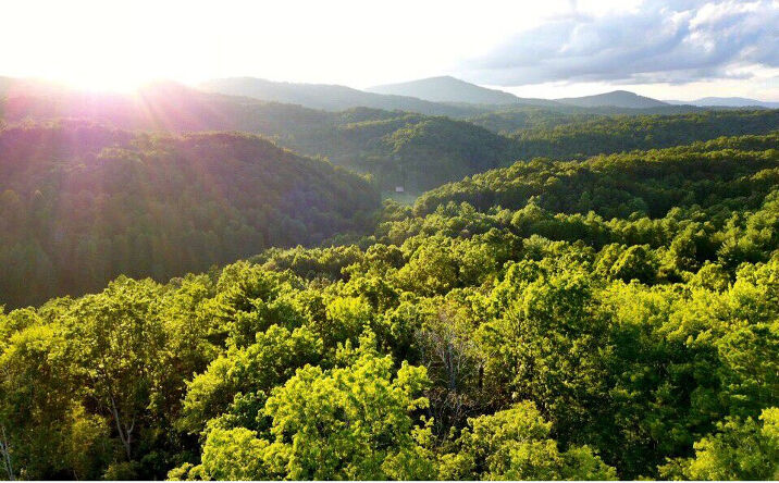Maxwell Mountain Road, Blue Ridge