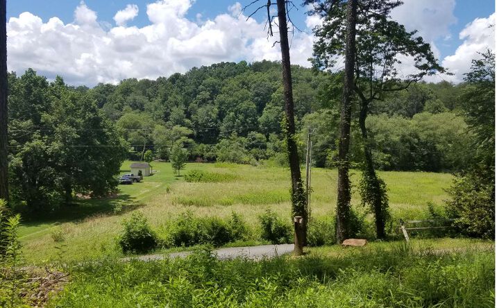 LOT 1 Fish Camp Way, Mineral Bluff