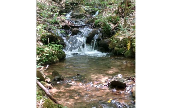 LT 6 The Hemlocks, Ellijay