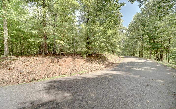 LOT 1 Bootleg Mountain Road, Morganton