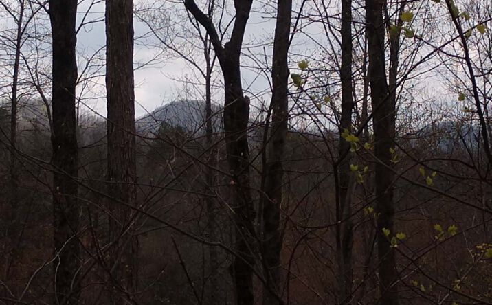 LOT 3 Wilderness Way, Ellijay