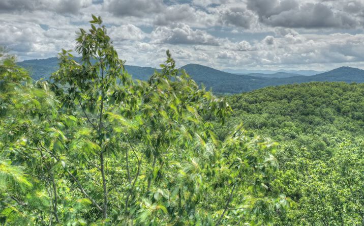 LT 59 Stuart View Drive, Mineral Bluff