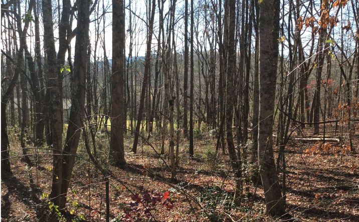 LT 3B Hidden Valley Road, Hiawassee