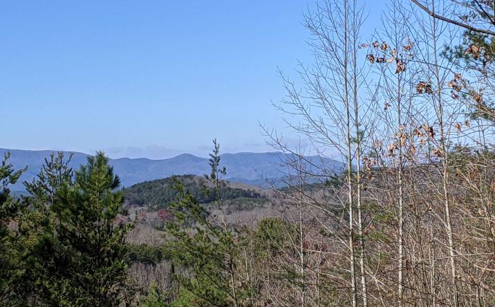 LOT48 Cinnamon Bear, Mineral Bluff