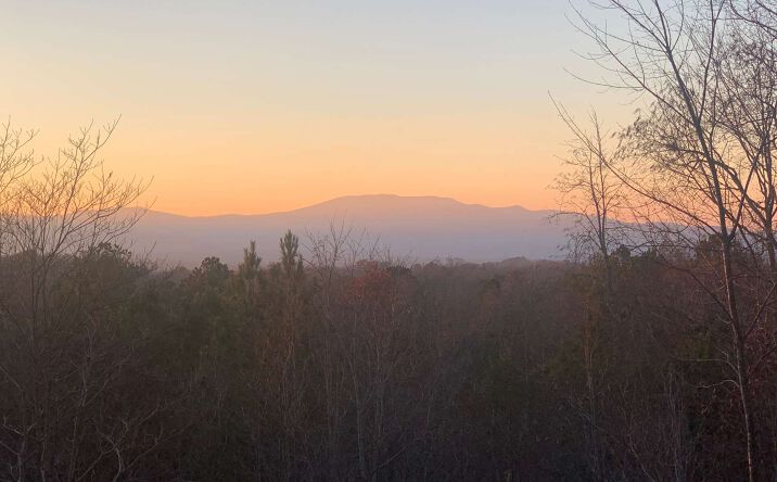 LOT49 Cinnamon Bear, Mineral Bluff