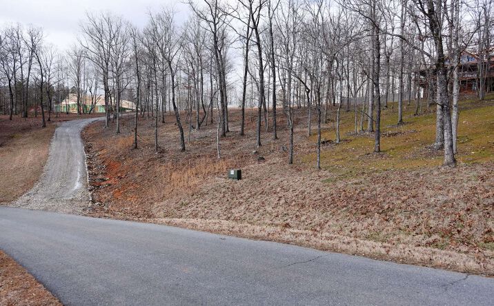LT 98 The Hills Lane, Blairsville