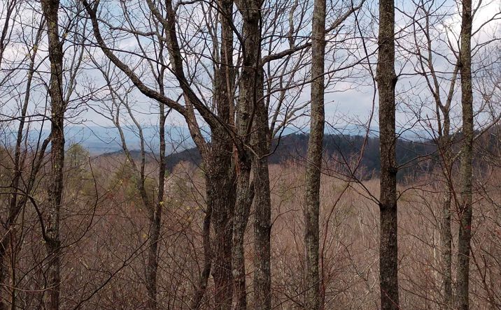 LOT 9 The Hemlocks, Ellijay