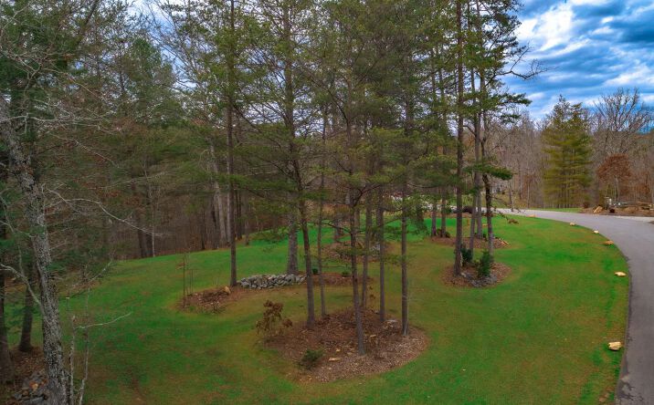 LT 73 The Highlands, Mineral Bluff