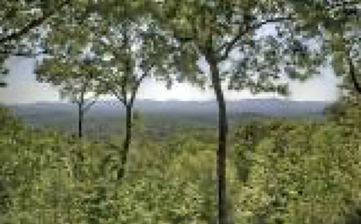 LT 14 Shady Pines, Ellijay