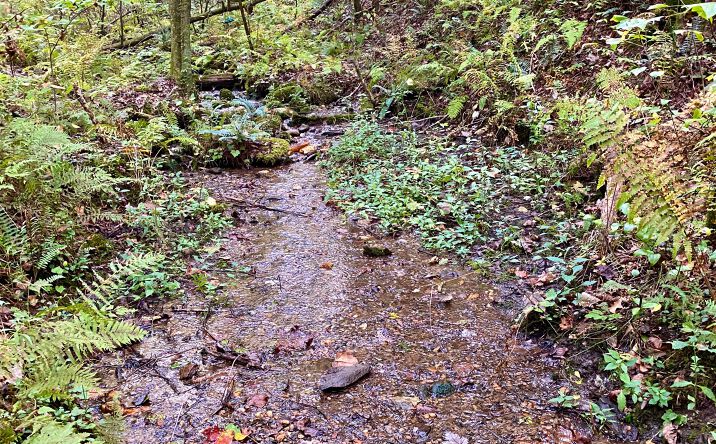 12/13 Otahki Trail, Ellijay
