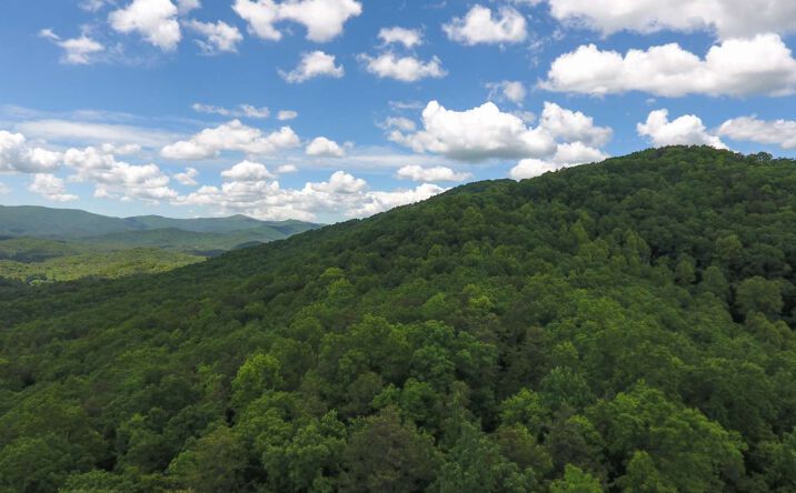 Lot 17 Turkey Knob E, Ellijay