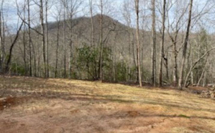 Laurel Branch Road, Hayesville