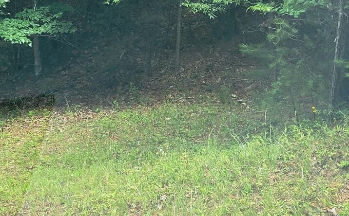 145 Cedar Ridge Drive, Murphy