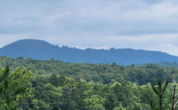 LOT 4 Hawks View, Mineral Bluff