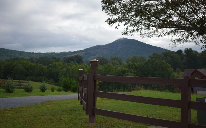LT 87 The Preserve At Cc, Young Harris