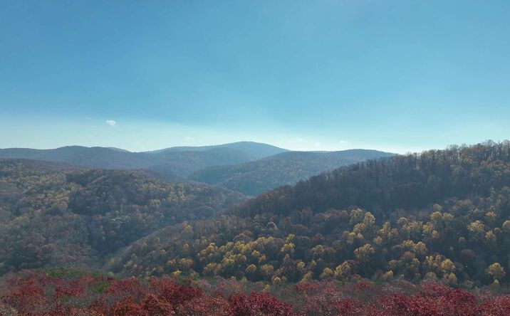 296 Andes Ridge, Ellijay