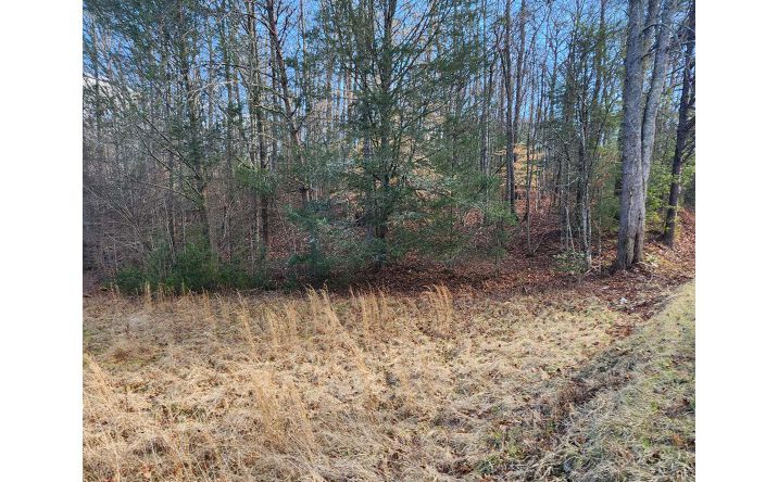 LOT 5 Dry Branch, Blue Ridge