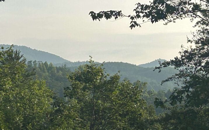 Skyline Drive, Turtletown