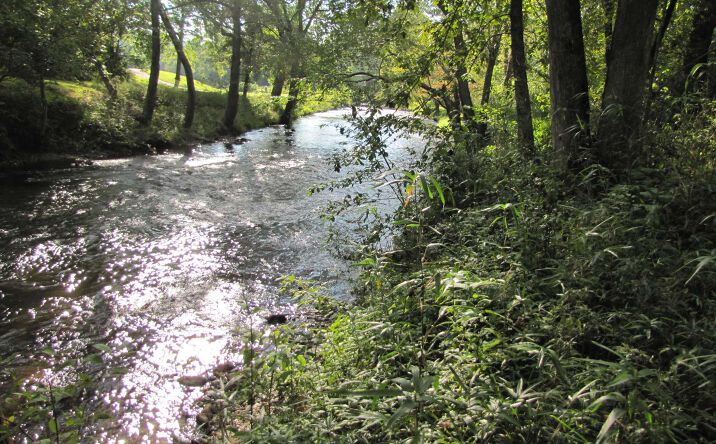 Lot 6, Hayesville