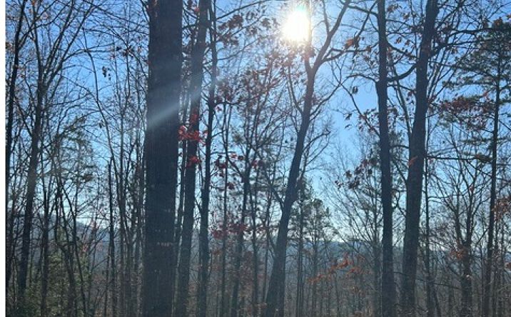 LT 12 Spring Ridge Trail, Morganton