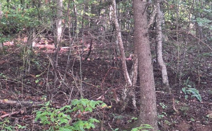 Pictures of Land property located at Coopers Creek, Suches, GA 30572 for sales - image #1