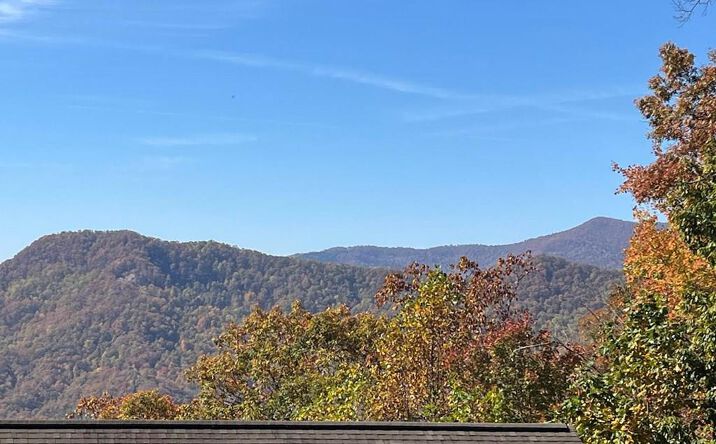 Pictures of Land property located at Lot 9 Black Bear Trail, Hiawassee, GA 30546 for sales - image #1