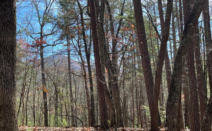 Lot 69 Tipton Springs Road, Morganton