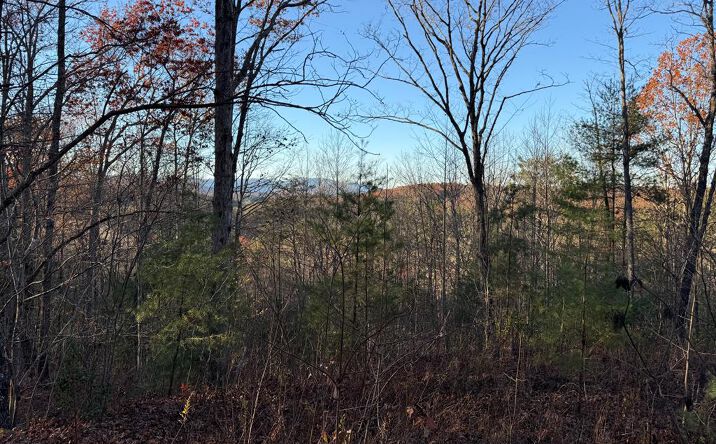 1.35 AC Plantation Lane, Blue Ridge