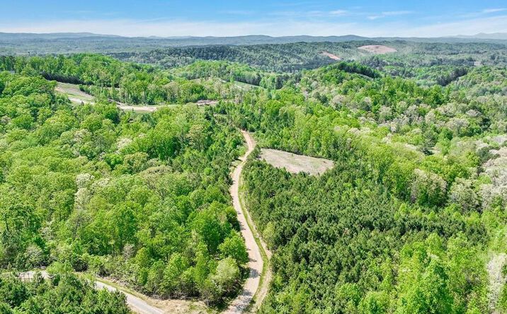 Pictures of Land property located at 655 Lookout Valley Trail, Talking Rock, GA 30175 for sales - image #1