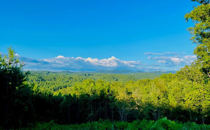 Pictures of Land property located at 656 Lookout Valley Trail, Talking Rock, GA 30175 for sales - image #1