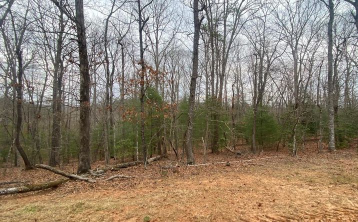Pictures of Land property located at Lot 8 Tomahawk Trail, Blairsville, GA 30512 for sales - image #1