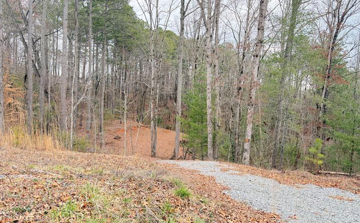 4.23 ac. Lower Tails Creek Road, Ellijay