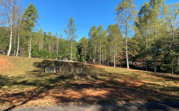Pictures of Land property located at Lot 60 Laurel Brooke, Blairsville, GA 30512 for sales - image #1