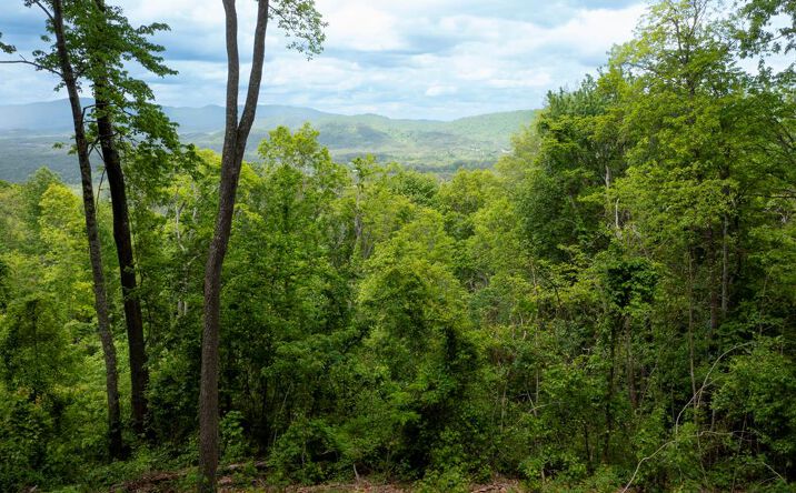 Pictures of Land property located at LT 61 Wilderness Creek Way, Murphy, NC 28906 for sales - image #1