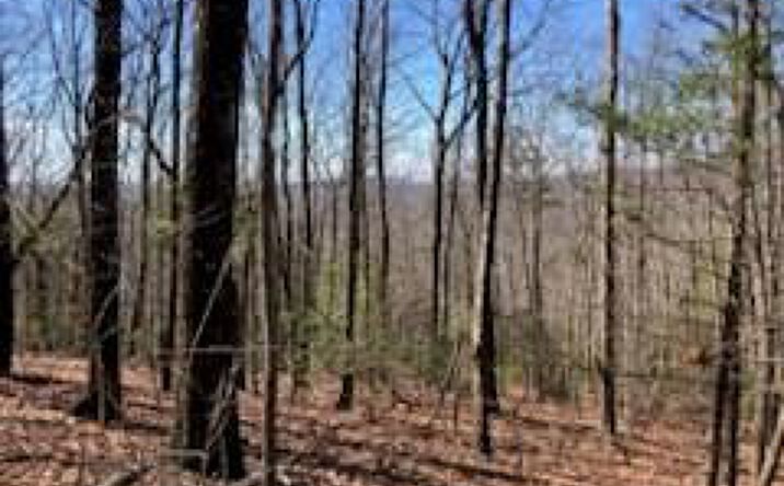965 Old Parker Terrace, Ellijay