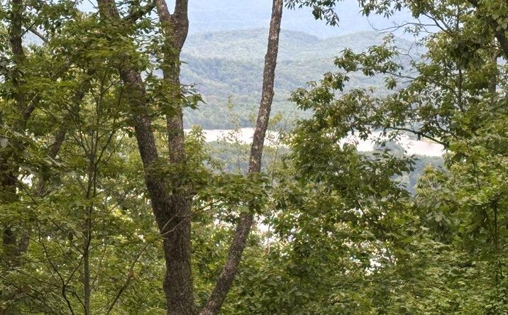 Lot 55 Eagles View, Hayesville