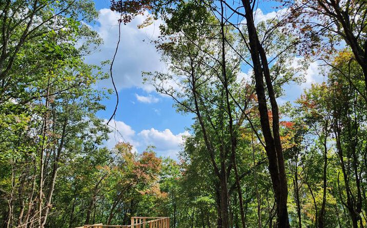 Pictures of Land property located at Lot 32 Calvender Road, Turtletown, TN 37317 for sales - image #1