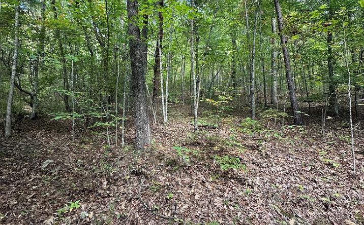 Pictures of Land property located at Tr 1 Burning Ember, Murphy, NC 28906 for sales - image #1