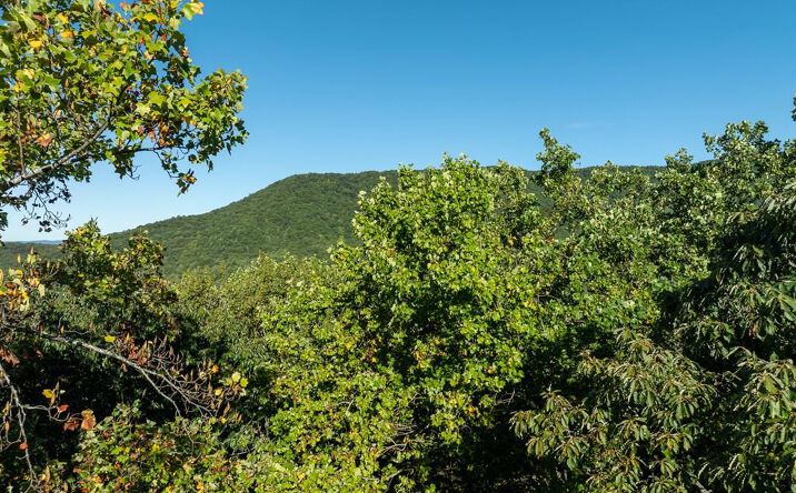 Lot 3 Wilderness Way, Ellijay