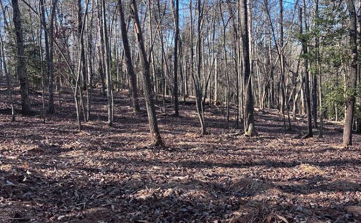 Lot 74 Bice Lane, Blue Ridge