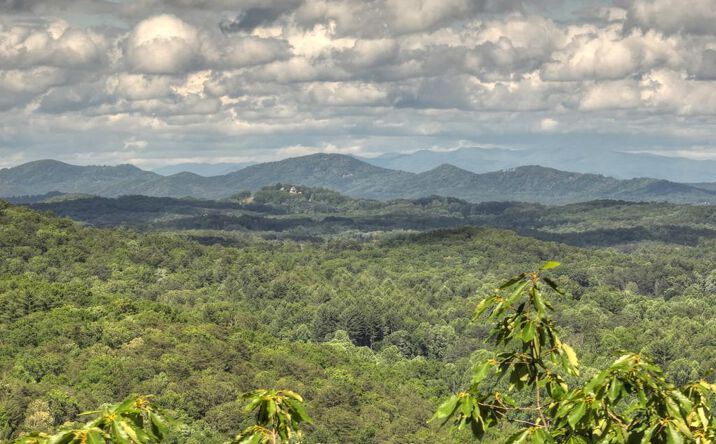 Menagerie Ridge, Epworth