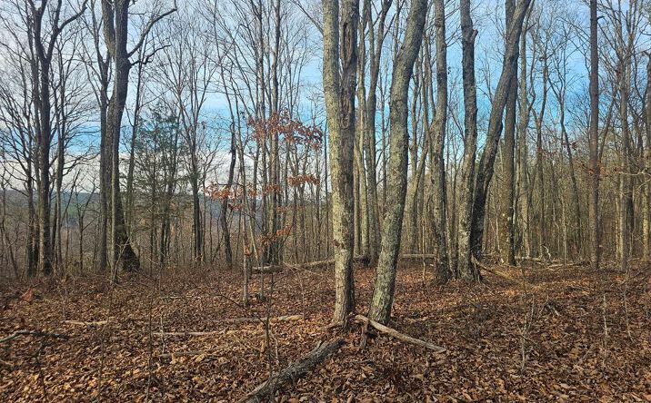 Pictures of Land property located at 29003.0 Smith Mountain, Dunlap, TN 37327 for sales - image #1