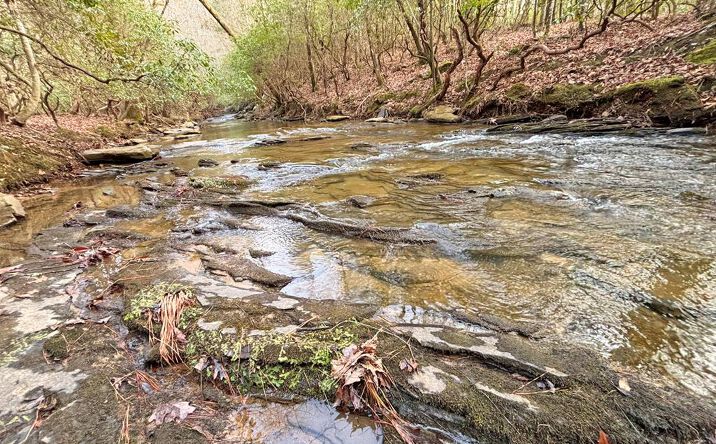 Pictures of Land property located at 5AC Lovejoy Lane, Talking Rock, GA 30175 for sales - image #1