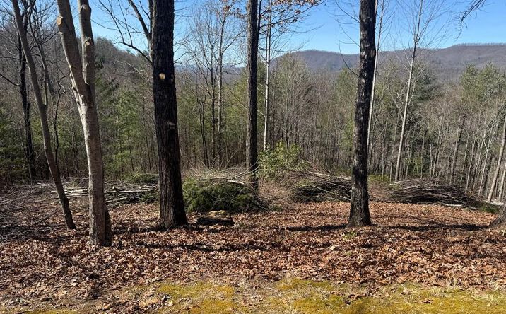 Lot 56 Fires Creek Cove Road, Hayesville