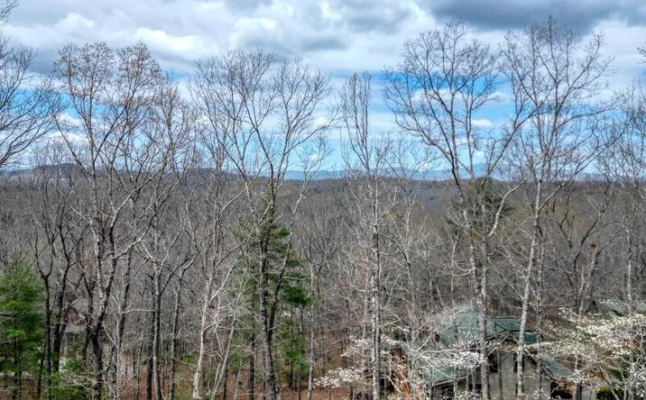 Pictures of Land property located at Lot 25 Cross Creek, Mineral Bluff, GA 30559 for sales - image #1