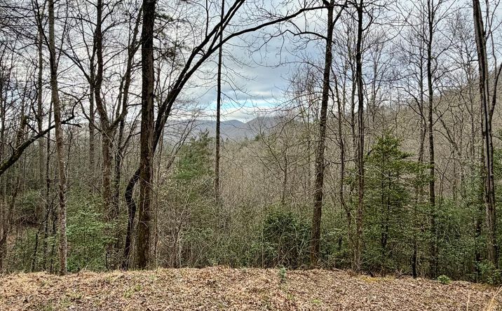 Pictures of Land property located at Lot 13 The Highlands, Hiawassee, GA 30546 for sales - image #1
